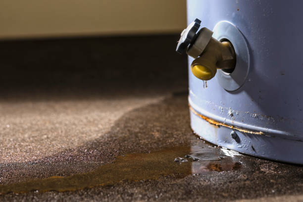 Best Carpet water damage restoration  in Thoreau, NM