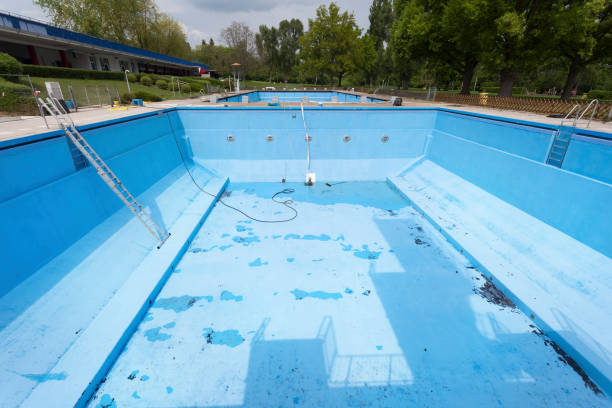 Best Professional water damage repair  in Thoreau, NM