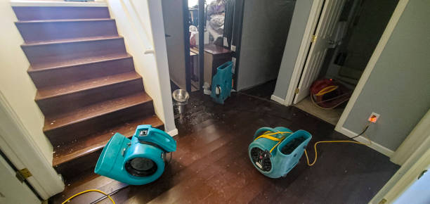 Best Water damage contractors near me  in Thoreau, NM