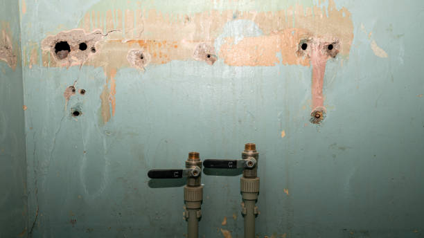 Best Ceiling water damage repair  in Thoreau, NM