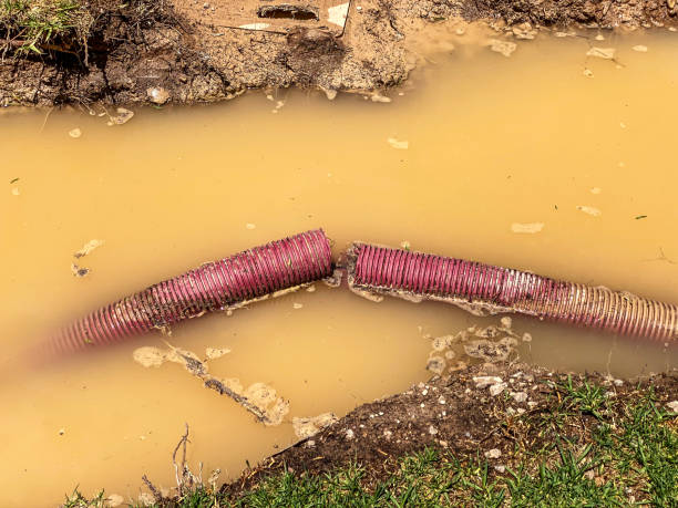 Best Sewage cleanup and water damage restoration  in Thoreau, NM